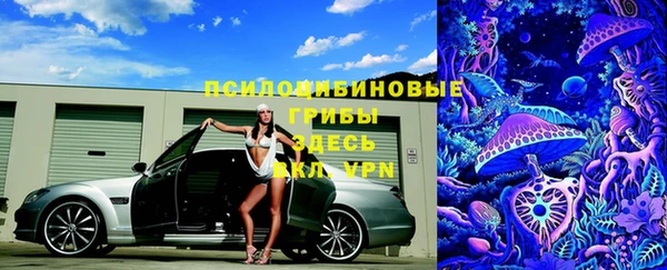 соль ск Белоозёрский