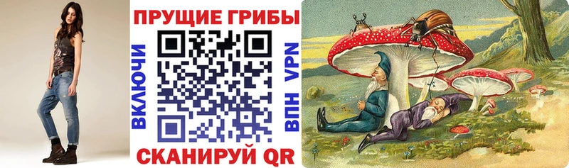 купить закладку  мега вход  Галлюциногенные грибы GOLDEN TEACHER  Воркута 